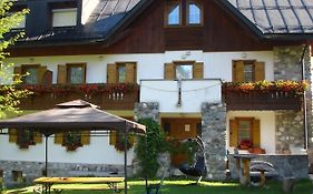 Hotel Picchio Nero